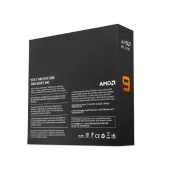 AMD Ryzen 9 9900X