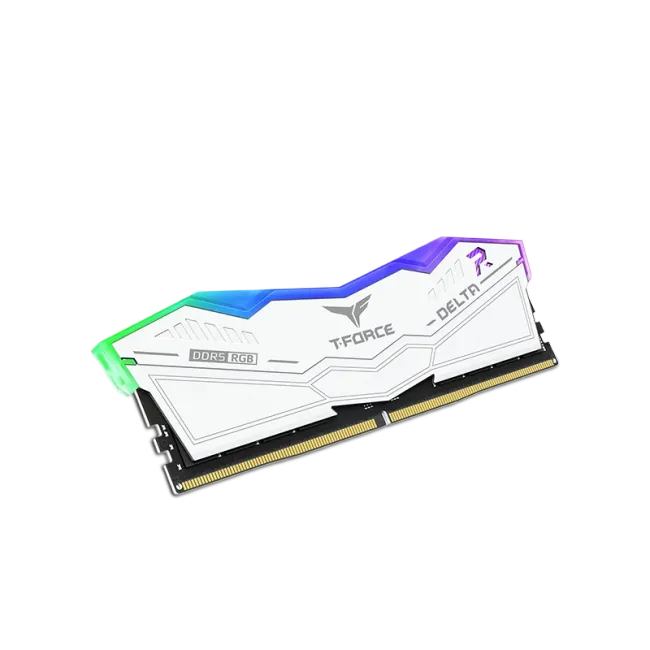 FF4D516G5200HC40CDC01 (2)