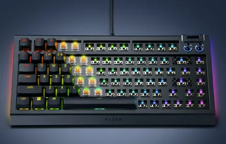 OvR9PQYLApNvjEJL