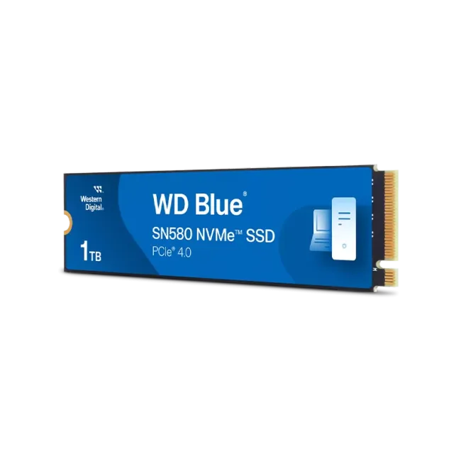WDS100T3B0E-00CHF0 1