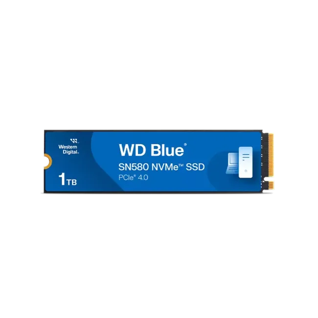 WDS100T3B0E-00CHF0 2