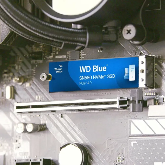WDS100T3B0E-00CHF0 3