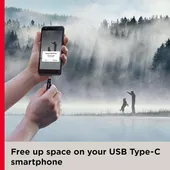 USB TYPE C FLASH SanDisk OTG 64GB TYPE (SDDDC3-064G-G46)