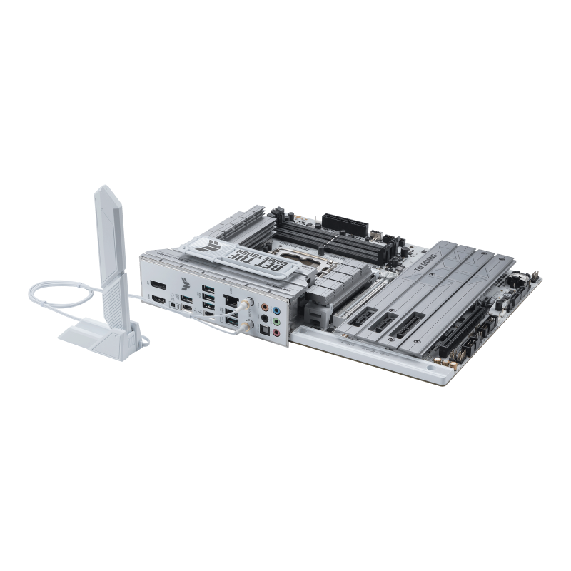 w800 (1).png